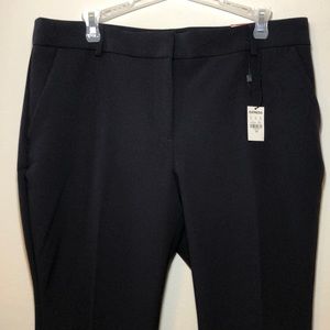 Express Columnist Barely Boot Dress Pants